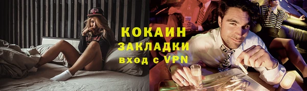 трава Гусиноозёрск