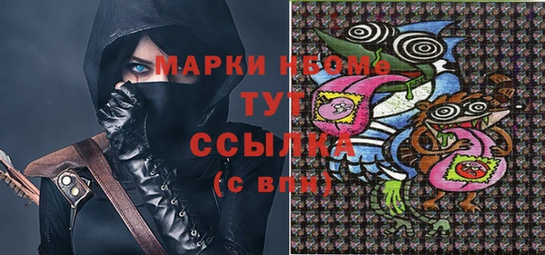 молекула духа Гусев