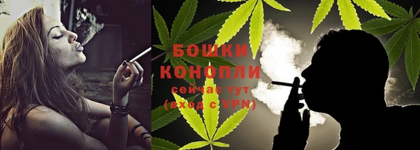 трава Гусиноозёрск