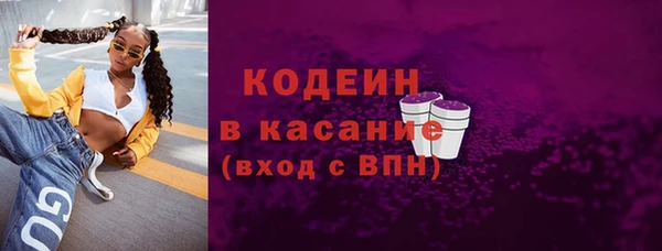 трава Гусиноозёрск