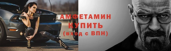 трава Гусиноозёрск