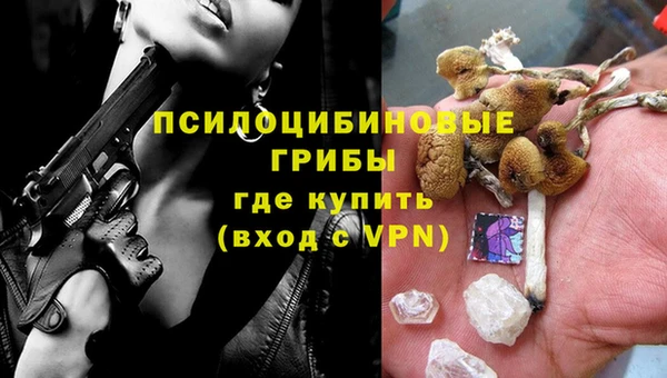 герыч Гусь-Хрустальный