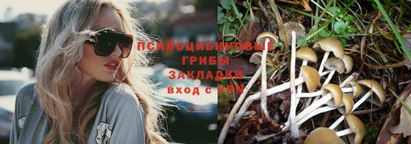 трава Гусиноозёрск