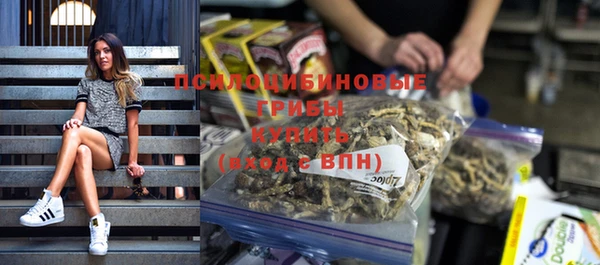 трава Гусиноозёрск