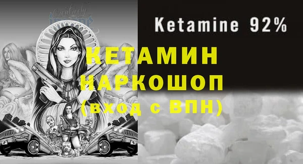 трава Гусиноозёрск