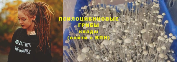 герыч Гусь-Хрустальный